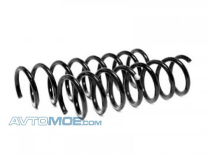 Пружина задняя 53223 Fobos (фото №1)